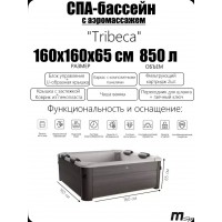 СПА-бассейн MSPA FrameTribeca Square Bubble Spa 160х160х65см,  850л, квадратный, аэромассаж (F-TR062W)