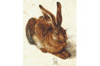 Картина для раскрашивания по номерам Заяц по мотивам Альбрехта Дюрера, 40 х 50 см. (Schipper, 9130809)