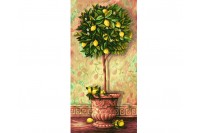 Schipper Лимонное дерево (9220397)