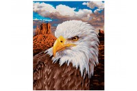 Schipper Белоголовый орлан (9240665)