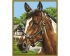 Schipper Лошадь (9240381)