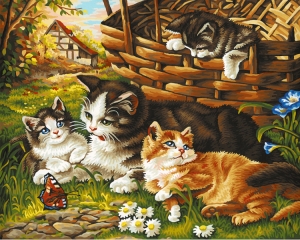 Schipper Семейство кошачьих (9130361)