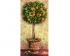 Schipper Апельсиновое дерево (9220398)