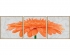 Schipper Хризантема крупноцветковая оранжевая (9400684)