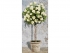 9220777 Schipper Розовое дерево белое, 40х80 см