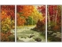 9260779 Schipper Триптих Осенний поток, 50х80 см