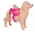Кукла Еви с собачкой и щенками, 12 см. (Simba, 5733072)