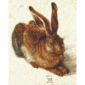 Картина для раскрашивания по номерам Заяц по мотивам Альбрехта Дюрера, 40 х 50 см. (Schipper, 9130809)
